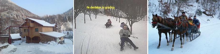 peisaj de iarna 14 scaune